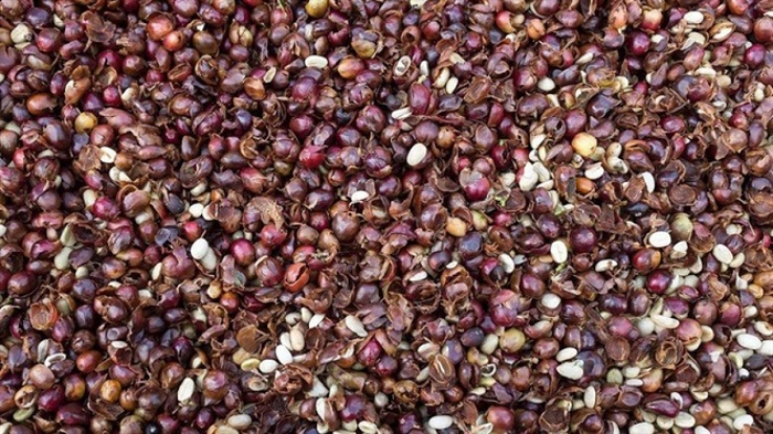 KỸ THUẬT SẢN XUẤT VÀ SỬ DỤNG PHÂN BÓN HỮU CƠ PHỤC VỤ SẢN XUẤT NÔNG NGHIỆP THEO HƯỚNG HỮU CƠ