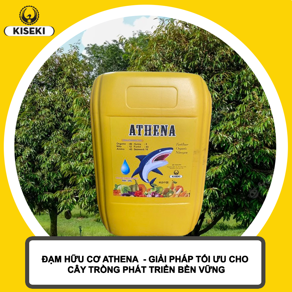 Đạm hữu cơ Athena