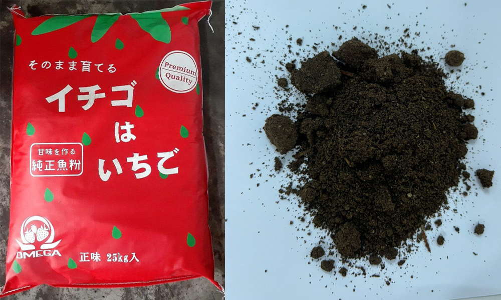 Hữu cơ bột Nhật Bản